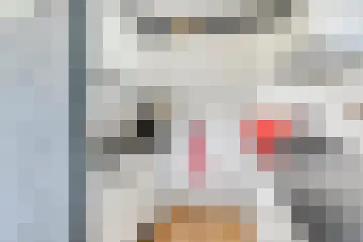 Robbenoort 70 Lauwersoog thumbnail 8