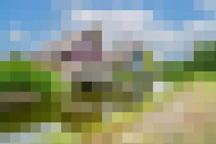 Robbenzand 10 Makkum thumbnail 10