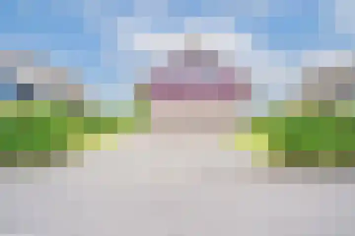 Robbenzand 10 Makkum thumbnail 11
