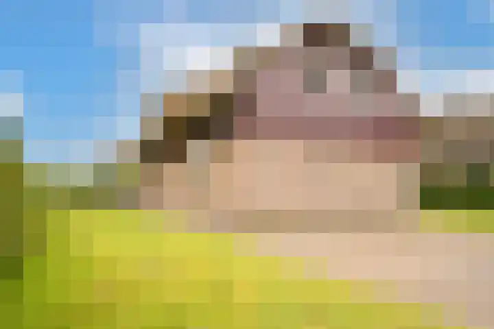 Robbenzand 10 Makkum thumbnail 12
