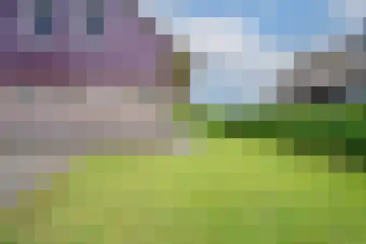 Robbenzand 10 Makkum thumbnail 13