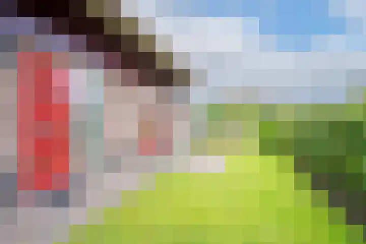 Robbenzand 10 Makkum thumbnail 14