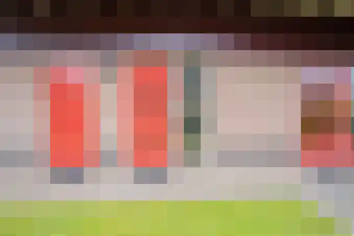 Robbenzand 10 Makkum thumbnail 15