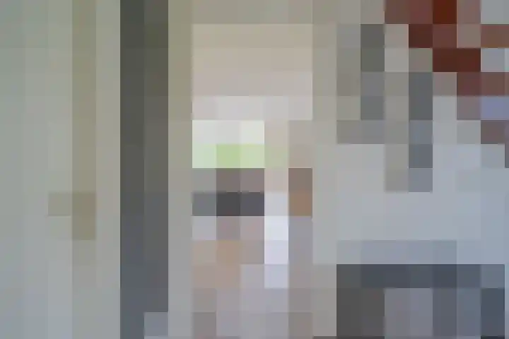 Robbenzand 10 Makkum thumbnail 20