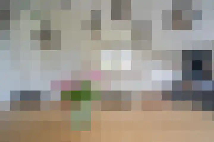 Robbenzand 10 Makkum thumbnail 22