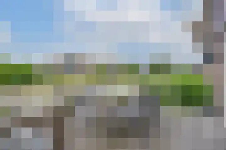 Robbenzand 10 Makkum thumbnail 25