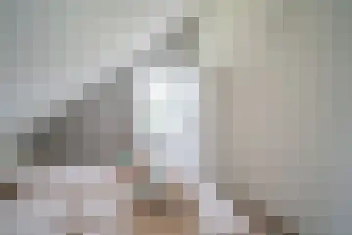 Robbenzand 10 Makkum thumbnail 36