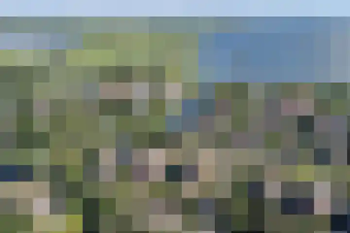 Robbenzand 10 Makkum thumbnail 4