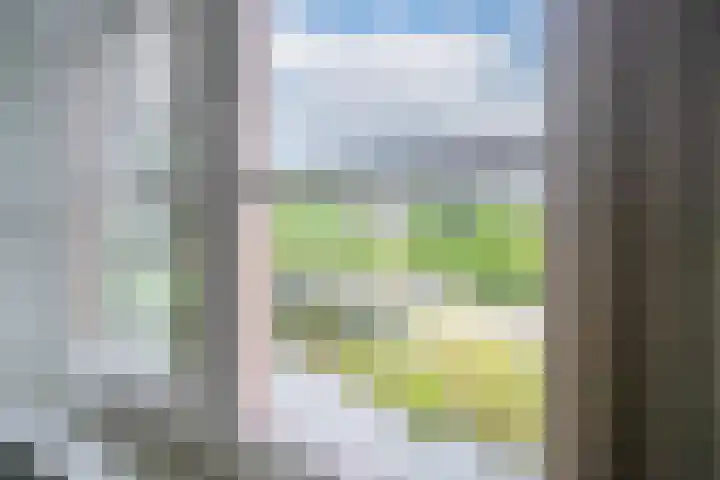 Robbenzand 10 Makkum thumbnail 47