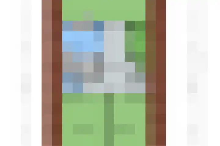 Robbenzand 10 Makkum thumbnail 51