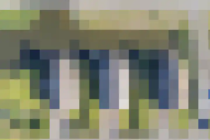 Robbenzand 10 Makkum thumbnail 6