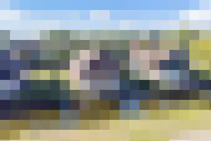 Robbenzand 10 Makkum thumbnail 7