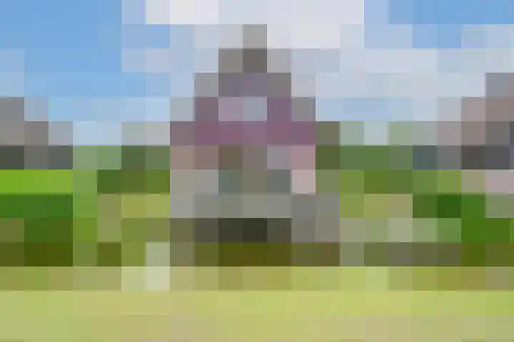 Robbenzand 10 Makkum thumbnail 9