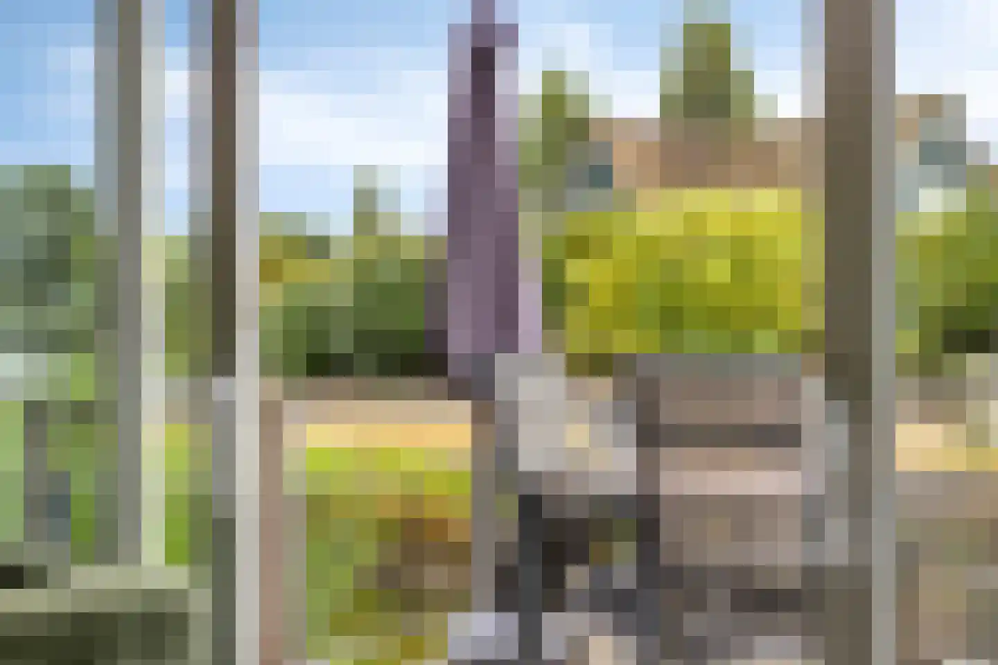 Robbenzand 11 Makkum thumbnail 12
