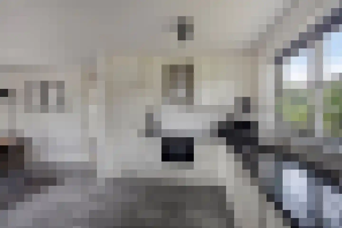 Robbenzand 11 Makkum thumbnail 16