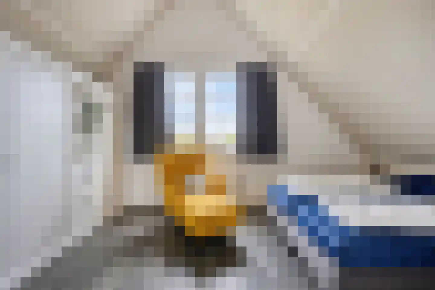 Robbenzand 11 Makkum thumbnail 22