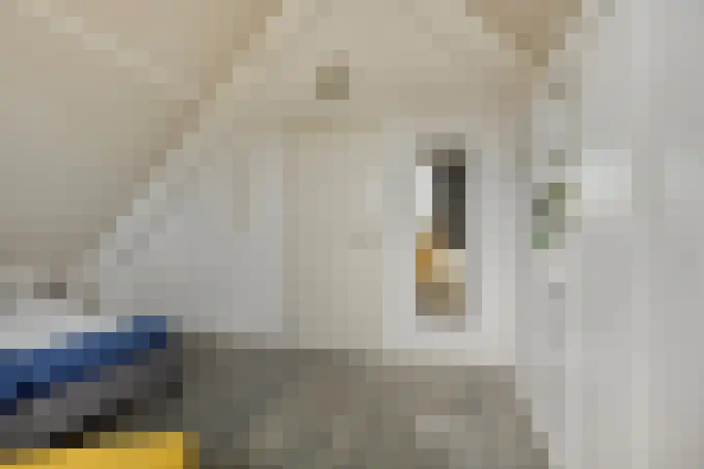 Robbenzand 11 Makkum thumbnail 23