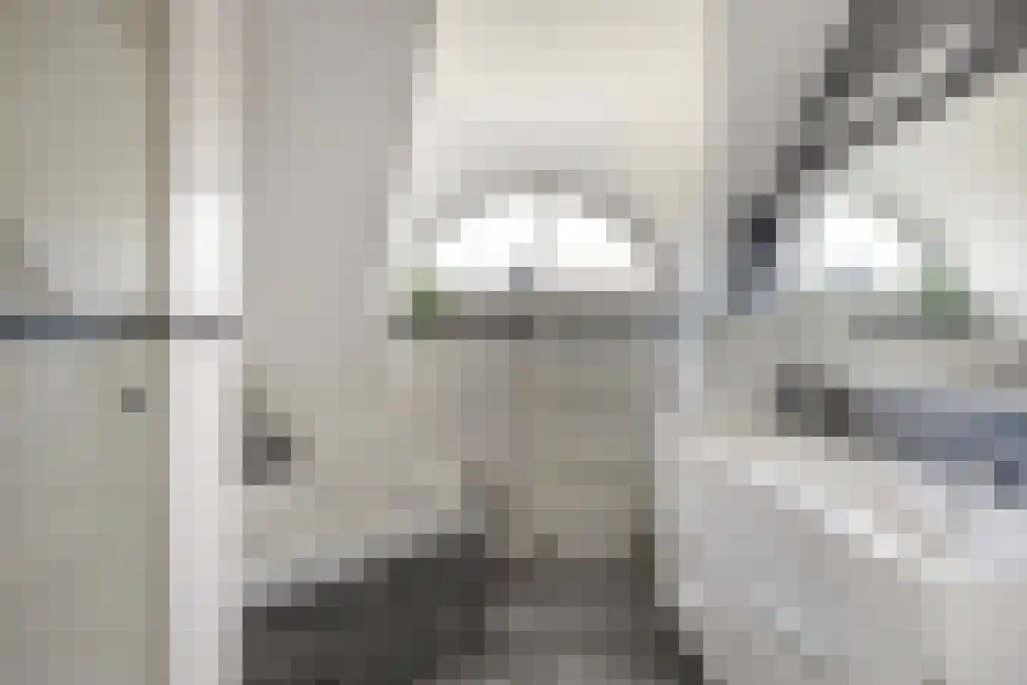 Robbenzand 11 Makkum thumbnail 24