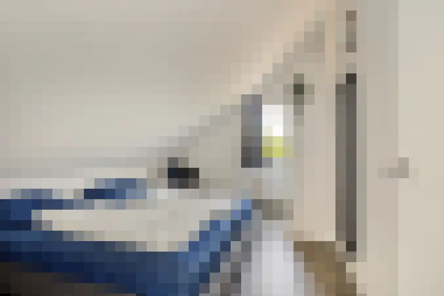 Robbenzand 11 Makkum thumbnail 28