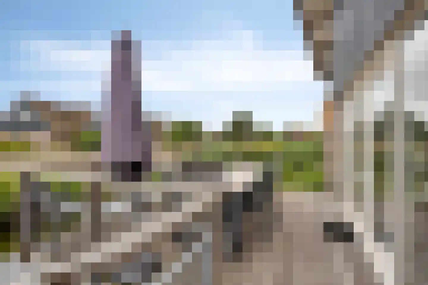 Robbenzand 11 Makkum thumbnail 31