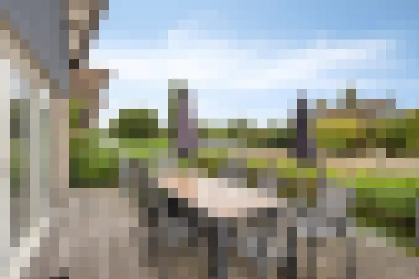 Robbenzand 11 Makkum thumbnail 32