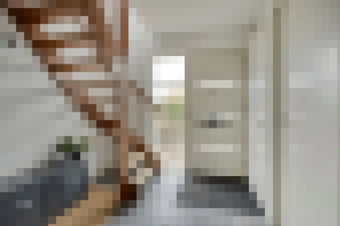 Robbenzand 11 Makkum thumbnail 5
