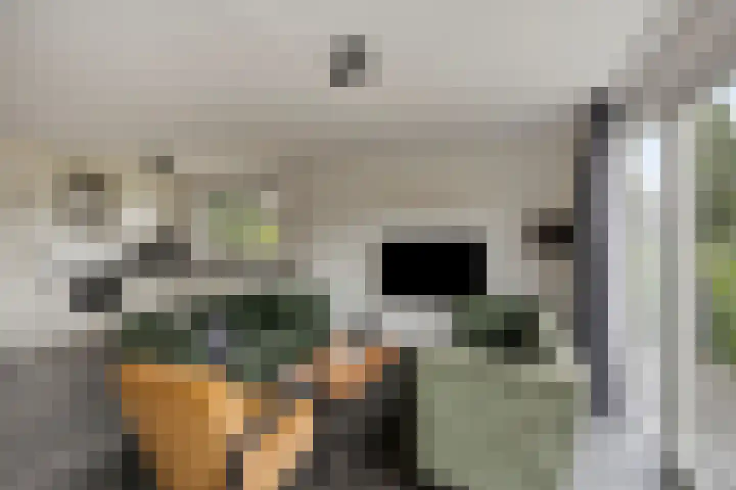 Robbenzand 11 Makkum thumbnail 8
