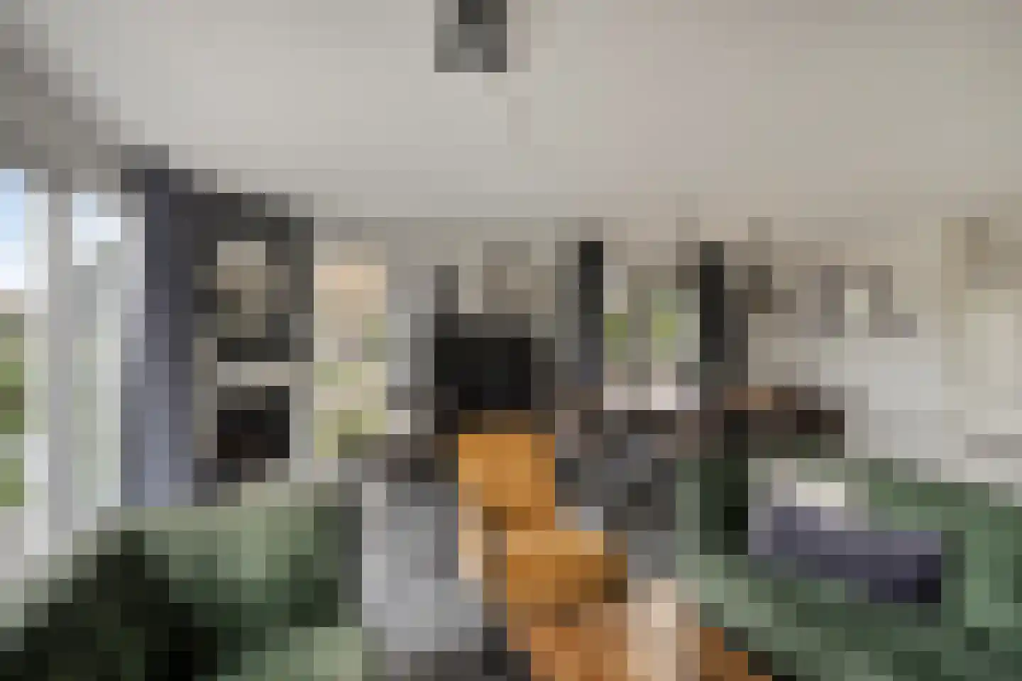 Robbenzand 11 Makkum thumbnail 9