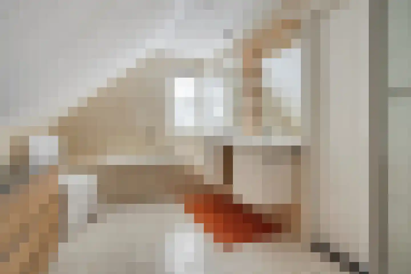 Robbenzand 12 Makkum thumbnail 19