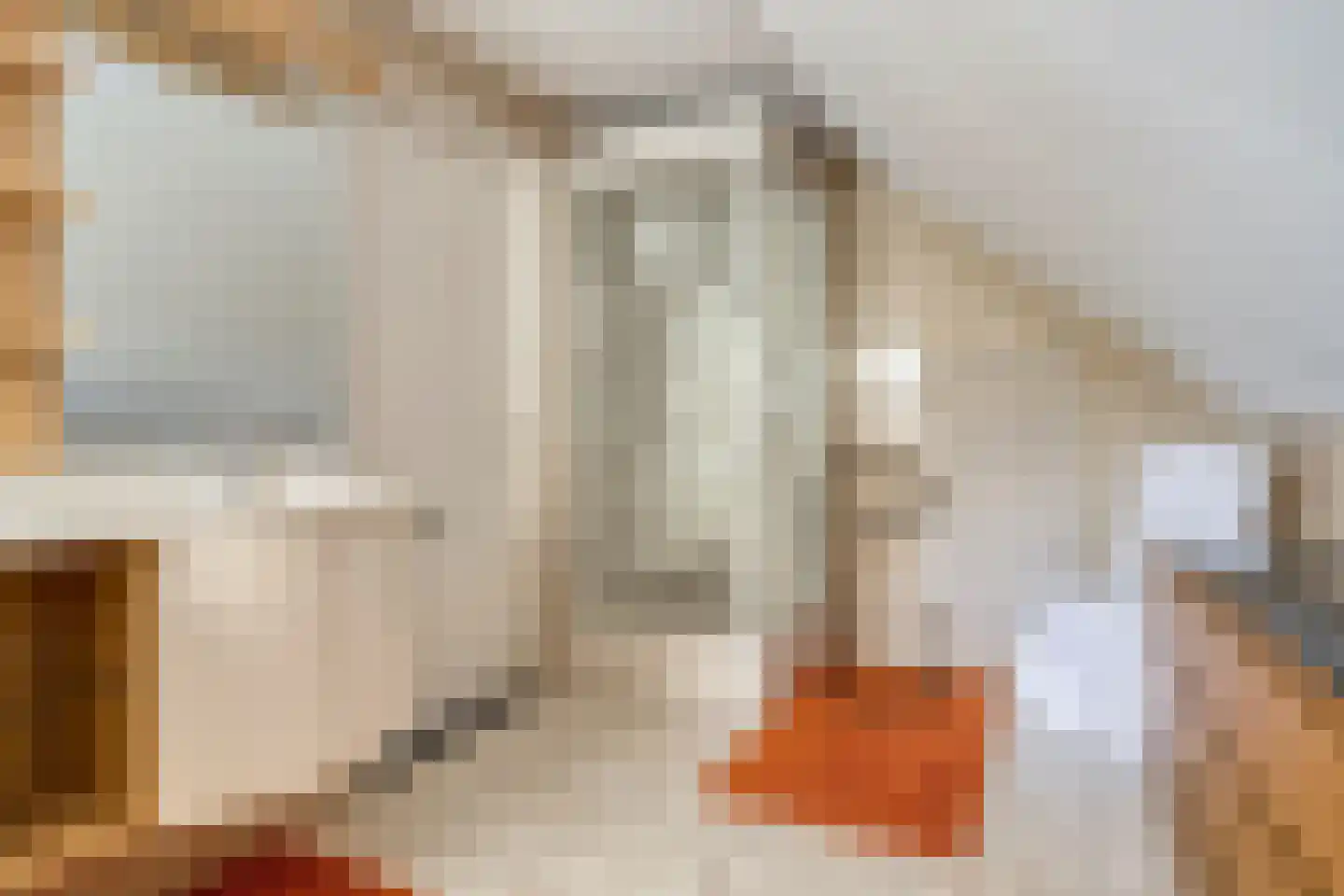 Robbenzand 12 Makkum thumbnail 20