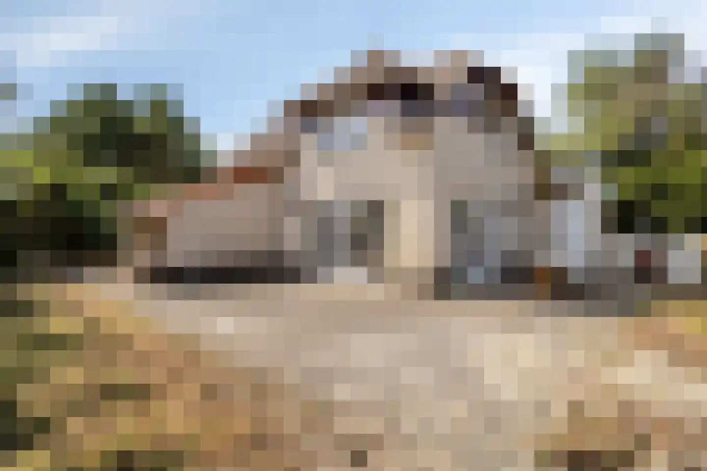 Robbenzand 12 Makkum thumbnail 25
