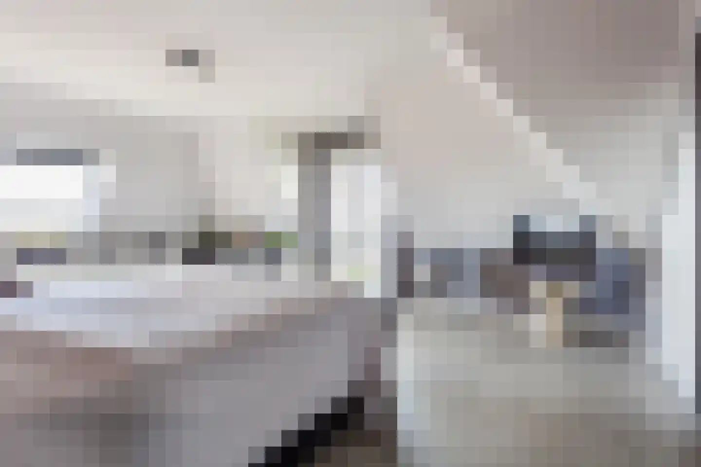 Robbenzand 69 Harderwijk thumbnail 28