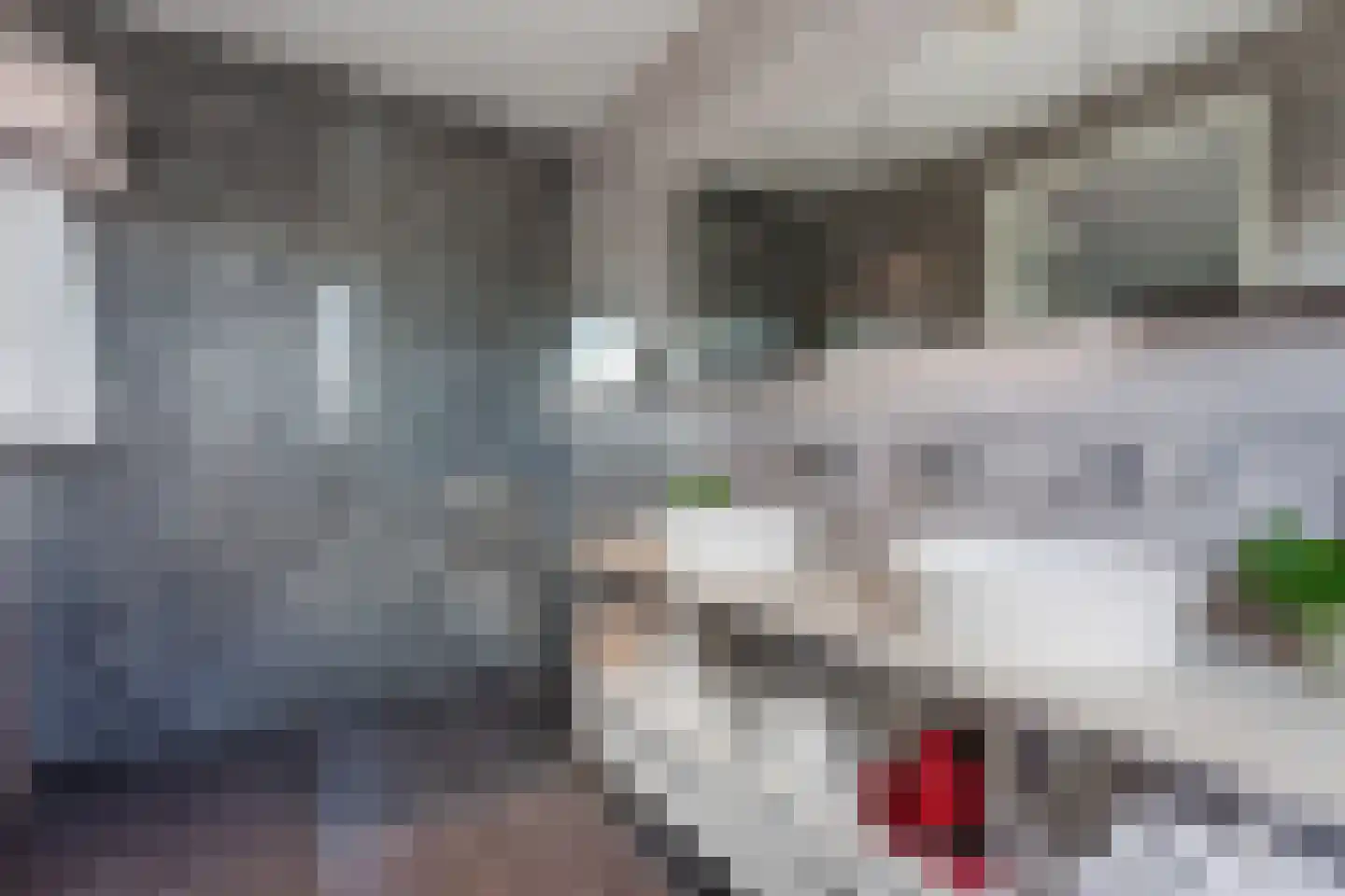 Robbenzand 69 Harderwijk thumbnail 32