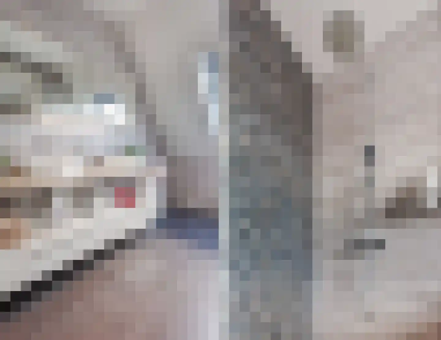 Robbenzand 69 Harderwijk thumbnail 33