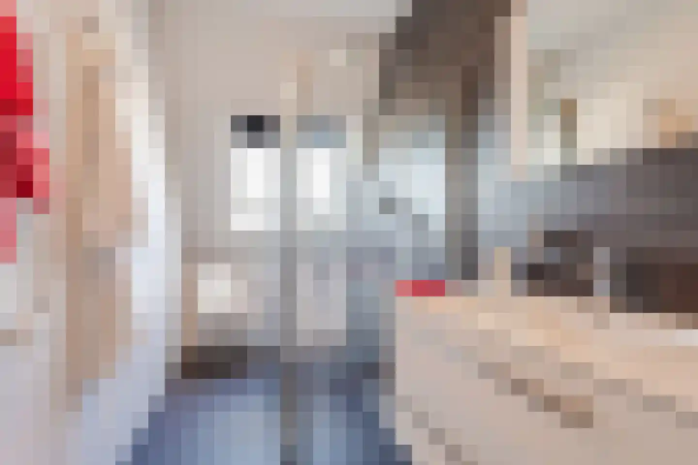 Robbenzand 69 Harderwijk thumbnail 39