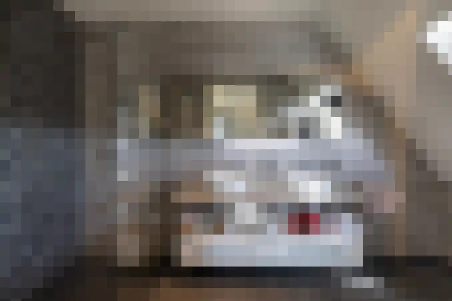 Robbenzand 69 Harderwijk thumbnail 39