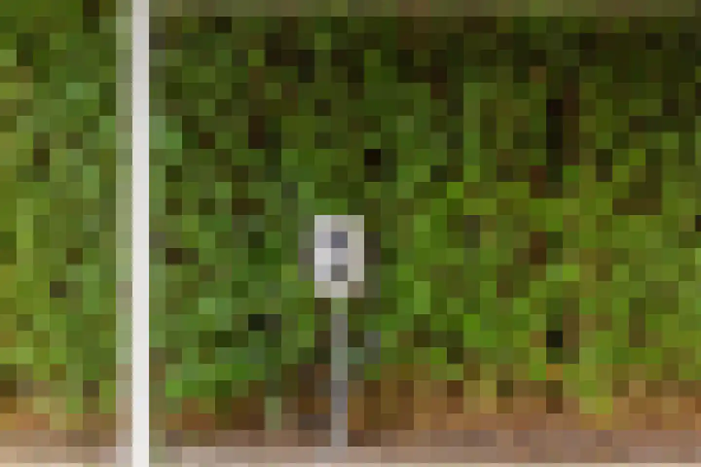 Robbenzand 69 Harderwijk thumbnail 52