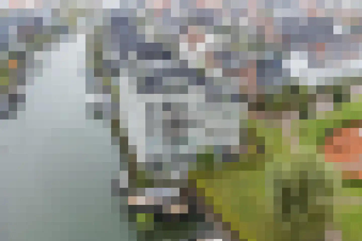 Robbenzand 69 Harderwijk thumbnail 58