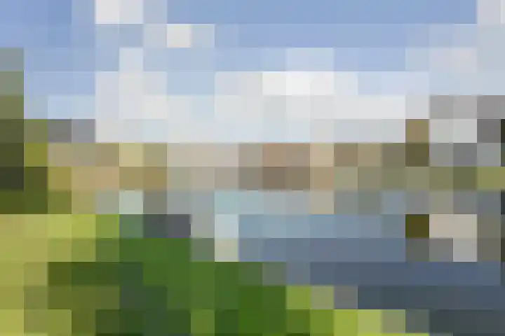 Robbenzand 80 Harderwijk thumbnail 33