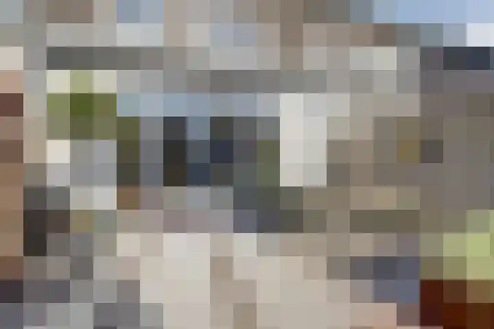 Robbenzand 80 Harderwijk thumbnail 34