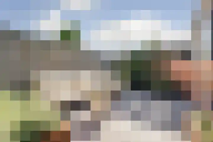 Robbenzand 80 Harderwijk thumbnail 35