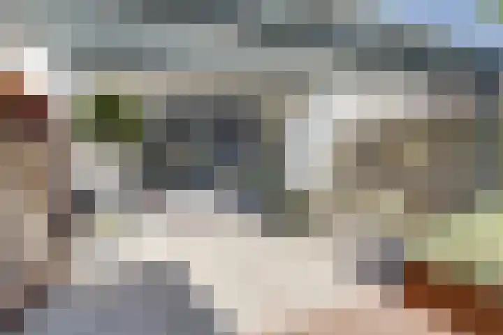 Robbenzand 80 Harderwijk thumbnail 38