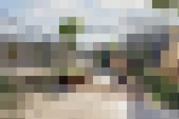 Robbenzand 80 Harderwijk thumbnail 4