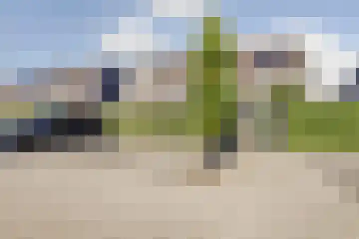 Robbenzand 80 Harderwijk thumbnail 40