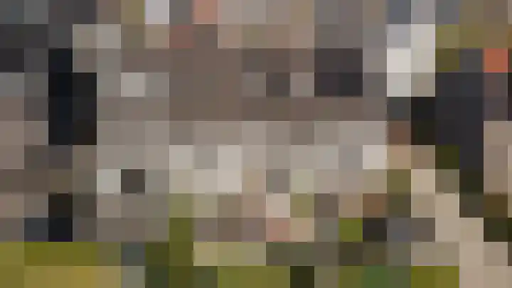 Robbenzand 80 Harderwijk thumbnail 45
