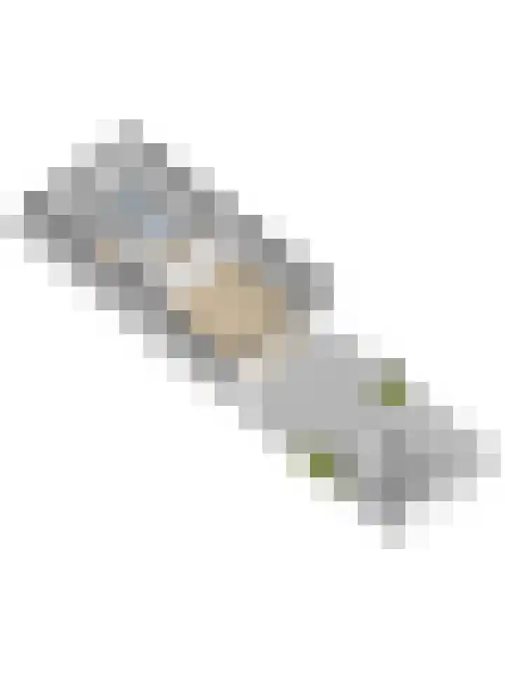 Robbenzand 80 Harderwijk thumbnail 56