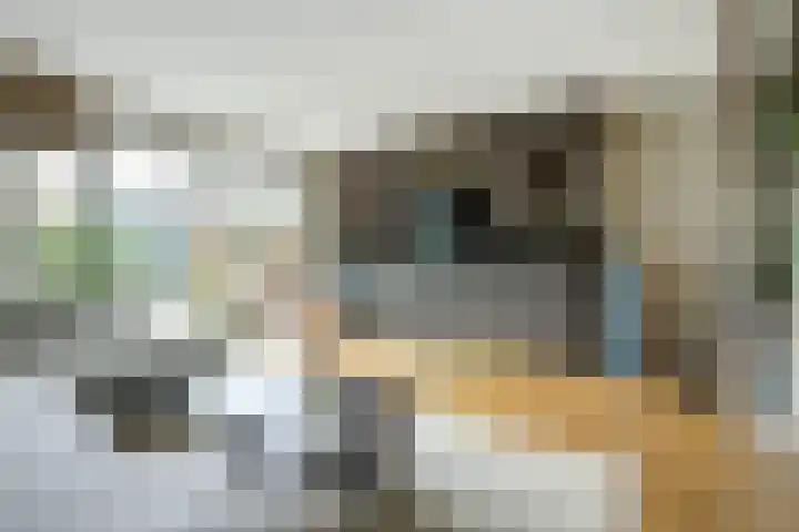 Robbenzand 80 Harderwijk thumbnail 8