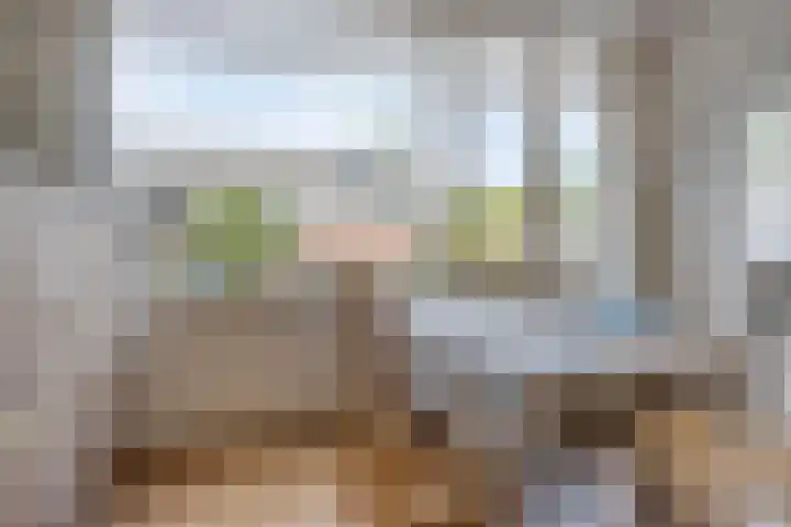 Robbesant 16 Emmeloord thumbnail 10
