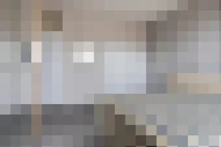 Robbesant 16 Emmeloord thumbnail 15