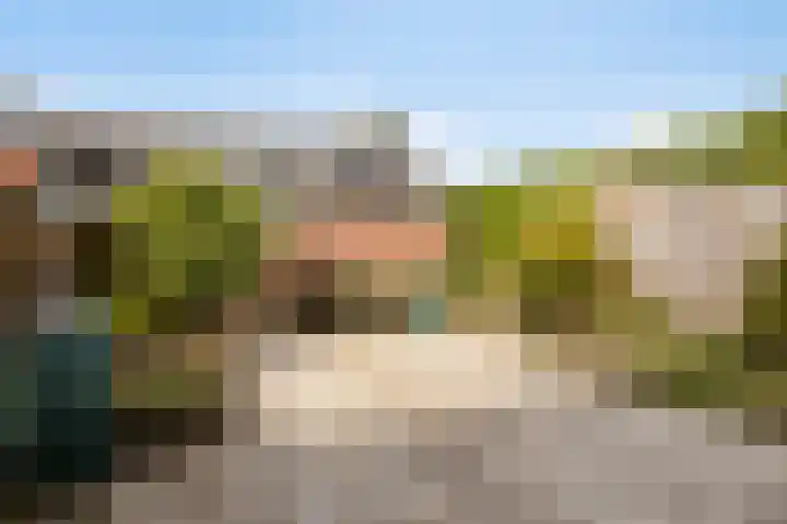 Robbesant 16 Emmeloord thumbnail 28